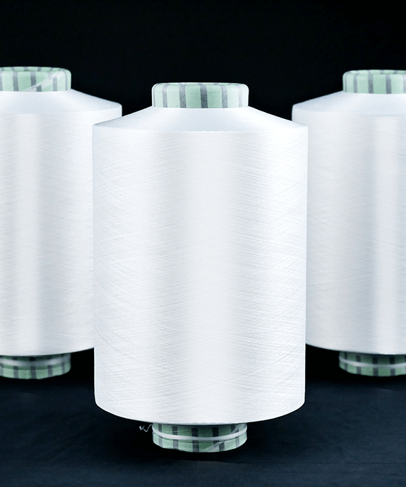 Nylon 6 High Tenacity Yarn