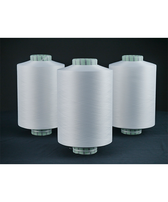 Nylon 6 (PA6) DTY 40/34/1 SD EVEN BOBBIN
